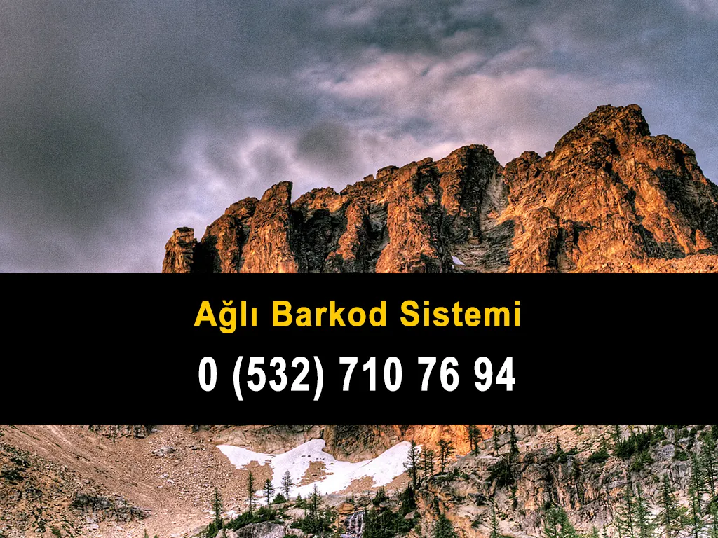 Ağlı Barkod Sistemi