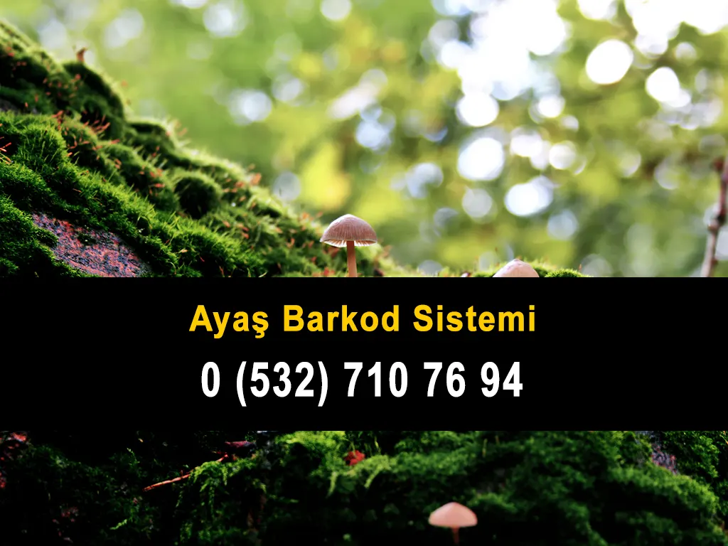 Ayaş Barkod Sistemi