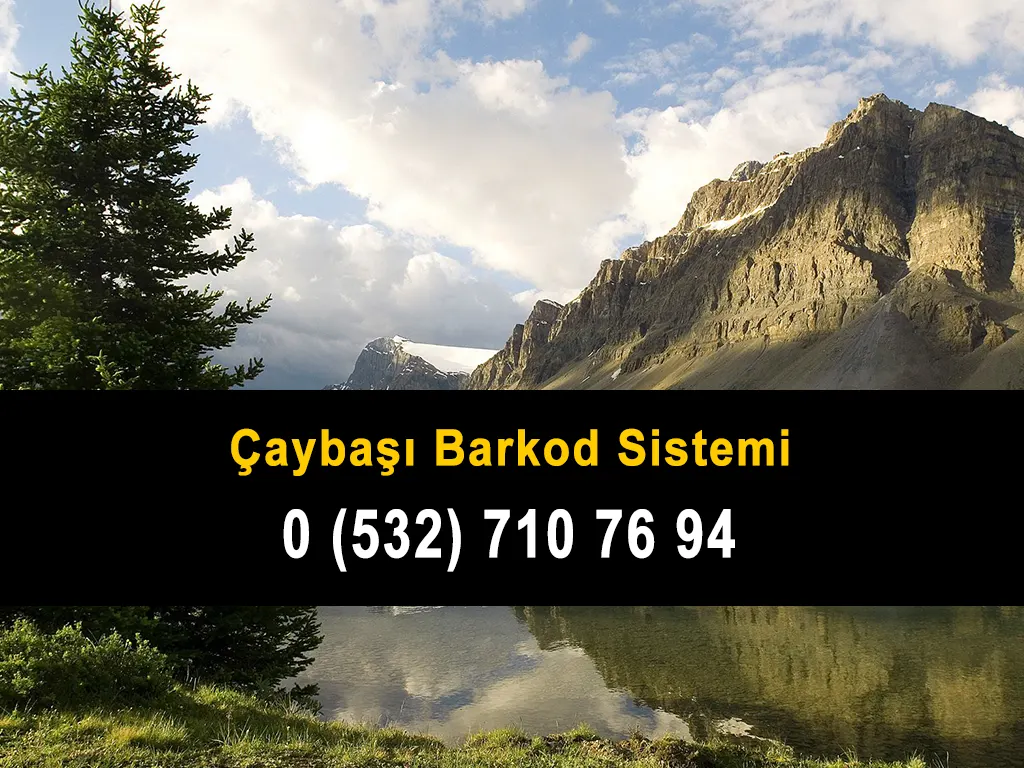 Çaybaşı Barkod Sistemi