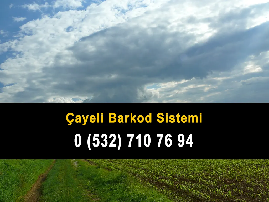 Çayeli Barkod Sistemi