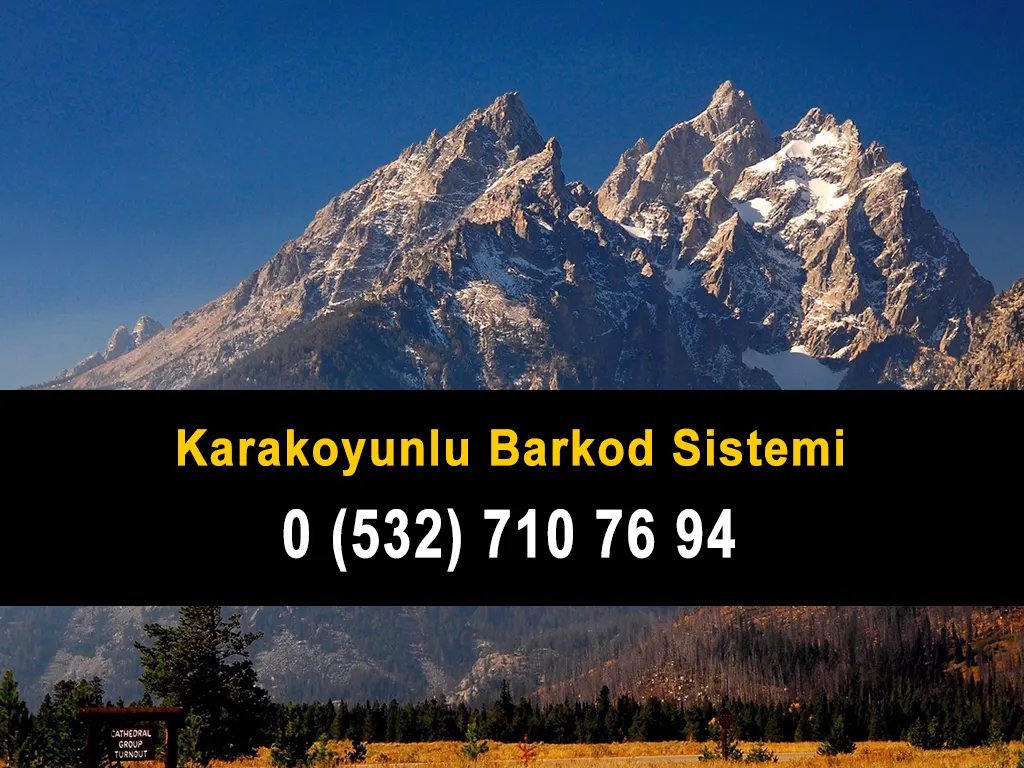 Karakoyunlu Barkod Sistemi