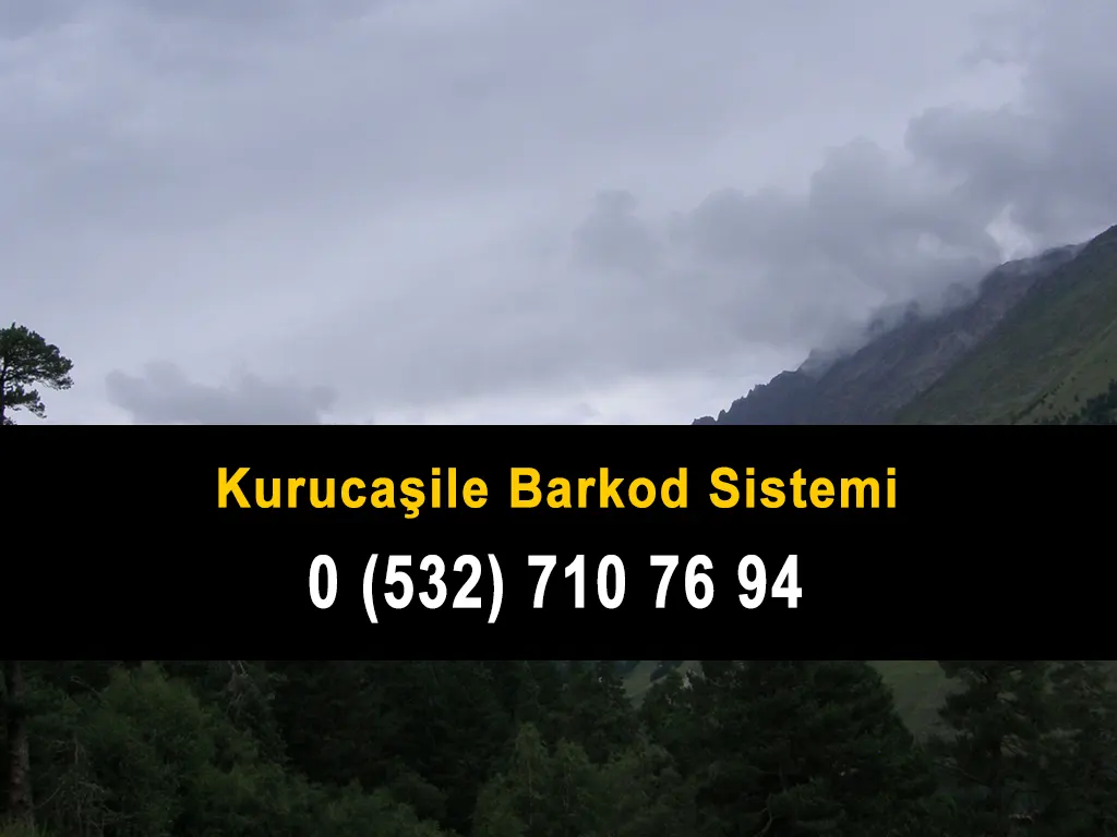 Kurucaşile Barkod Sistemi