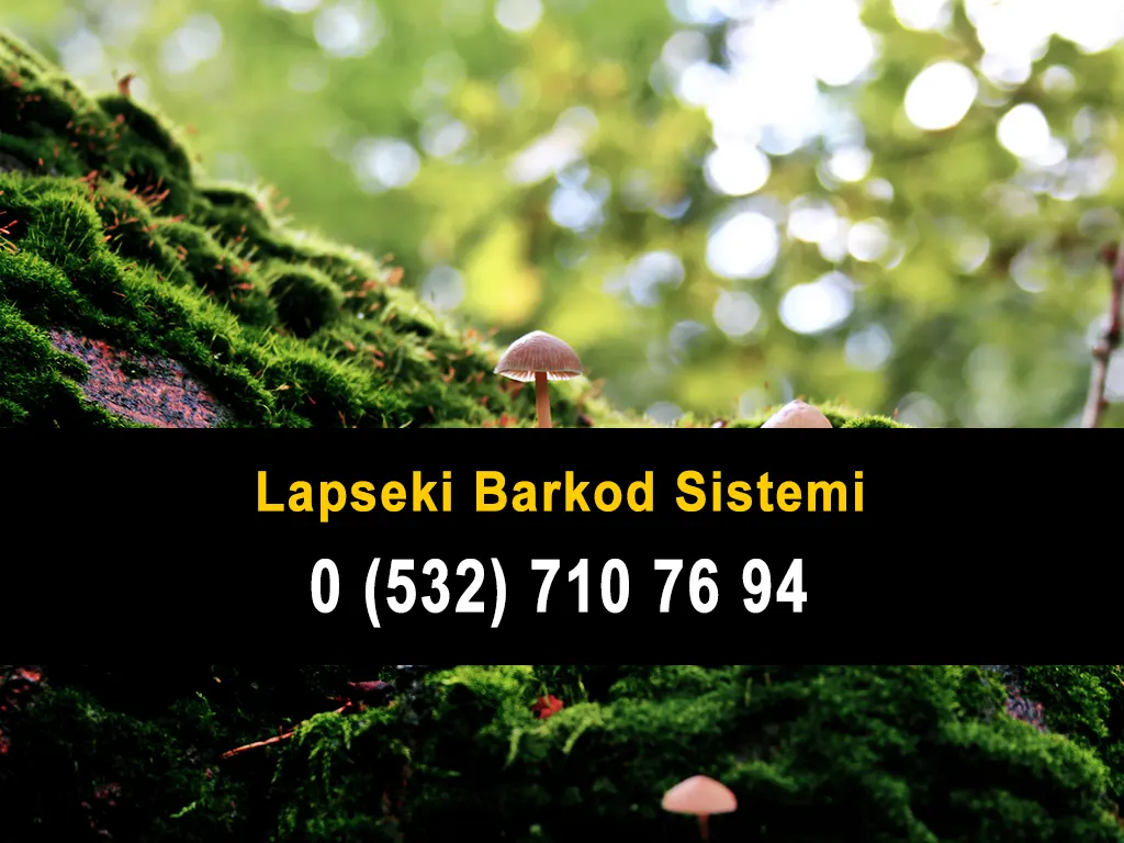 Lapseki Barkod Sistemi