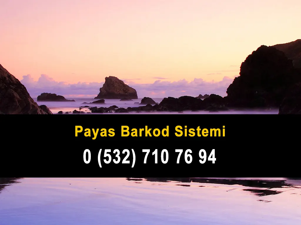 Payas Barkod Sistemi