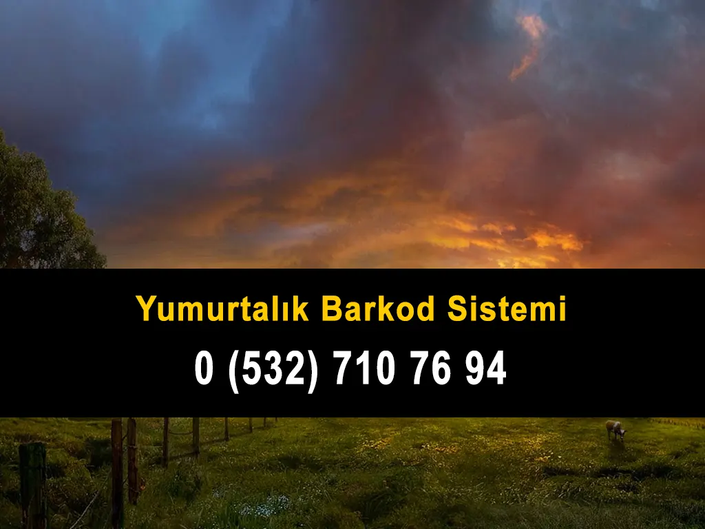 Yumurtalık Barkod Sistemi